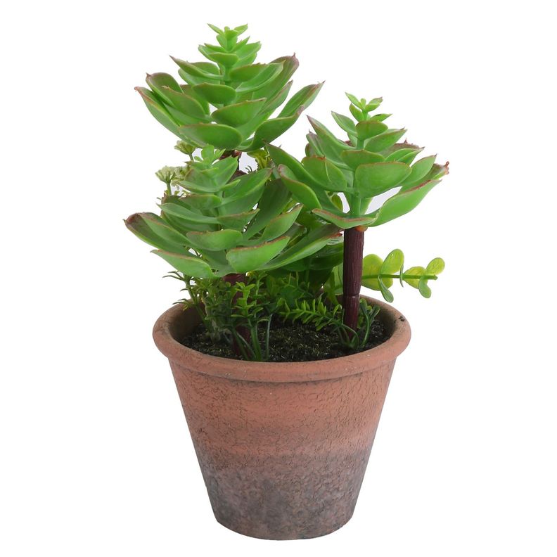 Planta Artificial Suculenta 20 cm-1