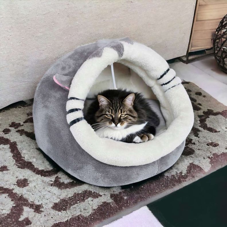 Cama nido iglú para gatos-1