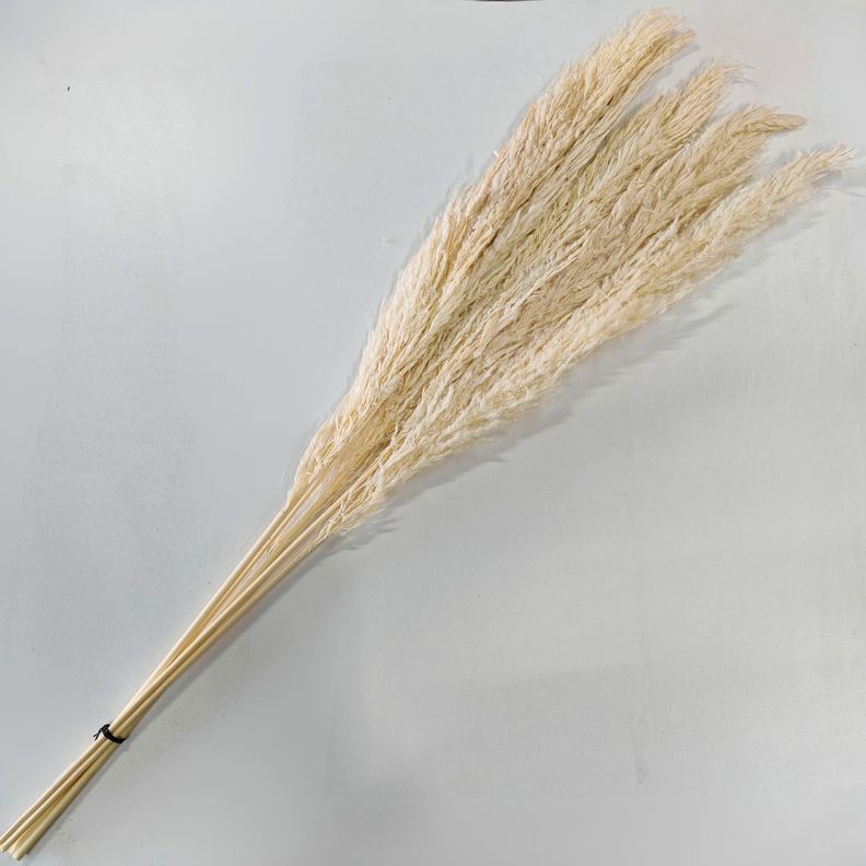 Ramo luminosa bleach 100 cm