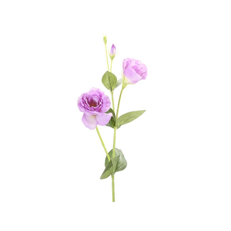 Vara Lisianthus purpura 82 cm