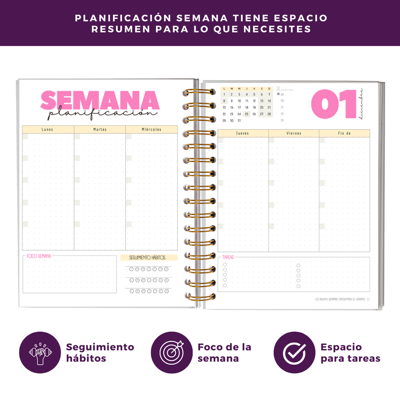 Agenda 2025 - Con Fecha Portada Colores-4