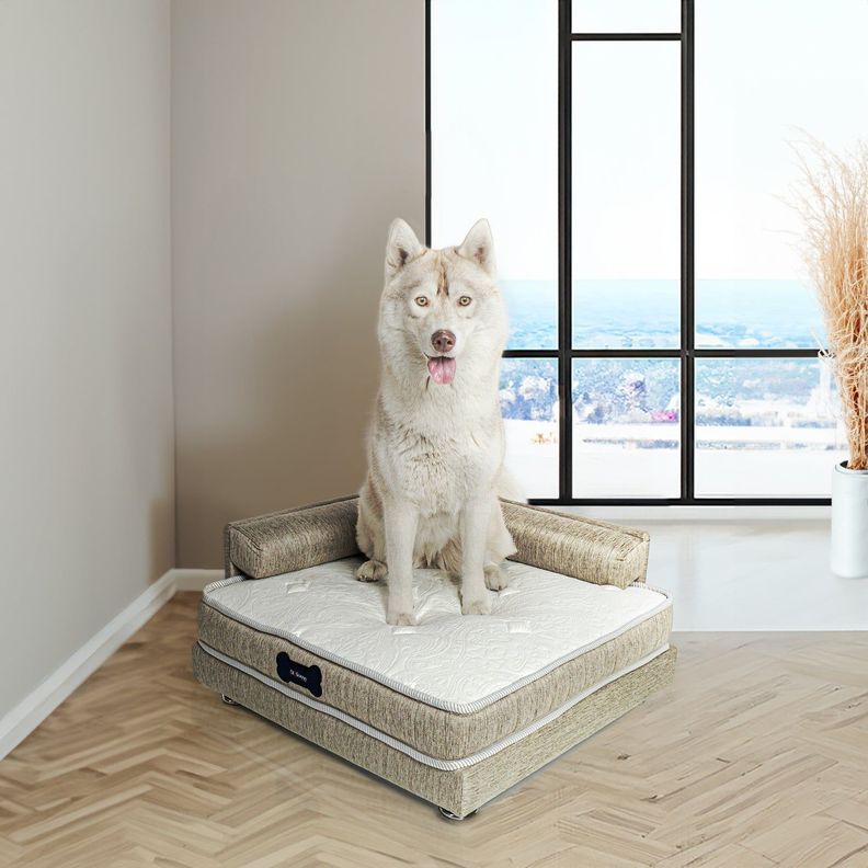 Cama para Mascotas Magnific-0