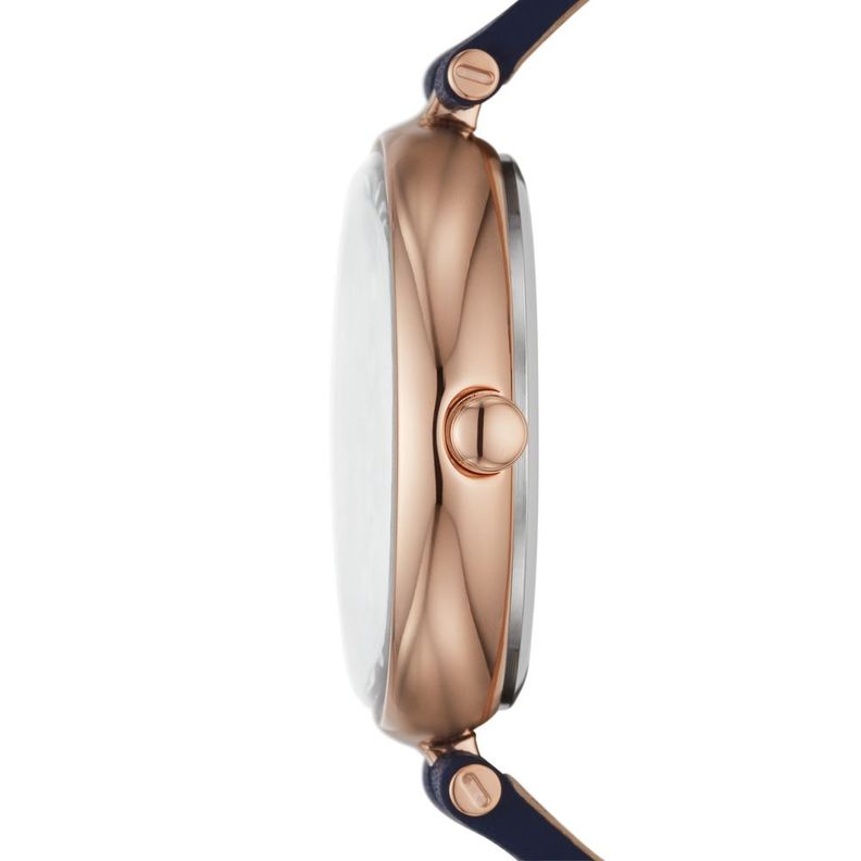 Reloj Skagen Mujer SKW2981-1