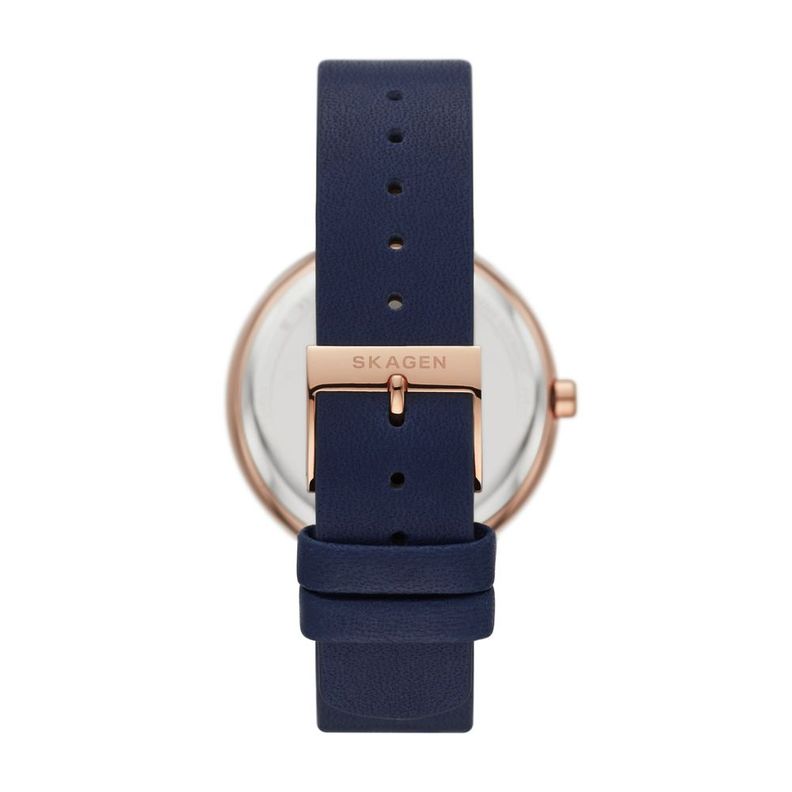 Reloj Skagen Mujer SKW2981-2