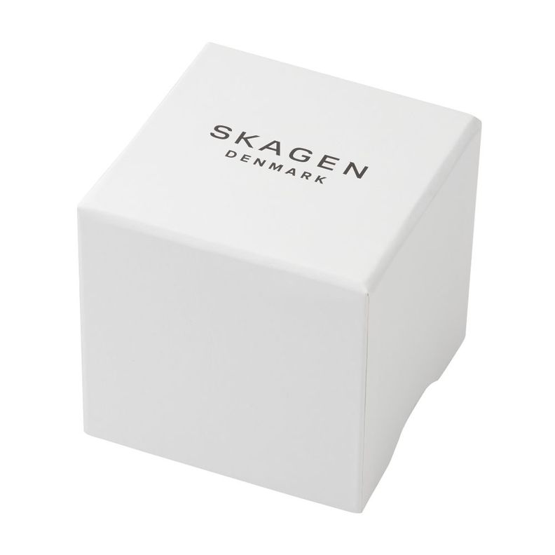 Reloj Skagen Hombre SKW6810-4