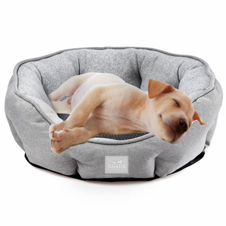 Cama Para Perros  Antibacteriana Y Transpirable 57X52X18cm-1