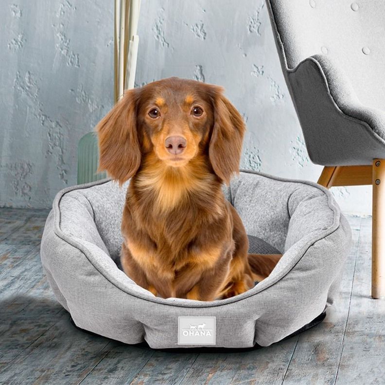 Cama Para Perros  Antibacteriana Y Transpirable 57X52X18cm-3