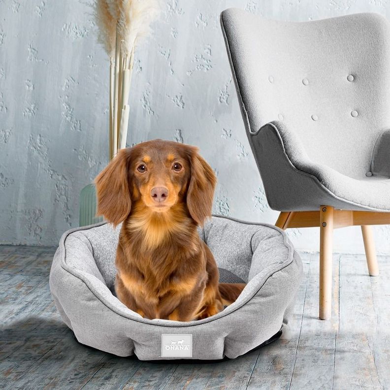 Cama Para Perros Antibacteriana Transpirable 45X40X16cm-4