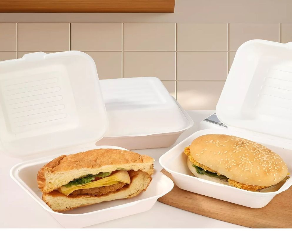 100 Envase Desechables Contenedor De Alimentos compostables-7