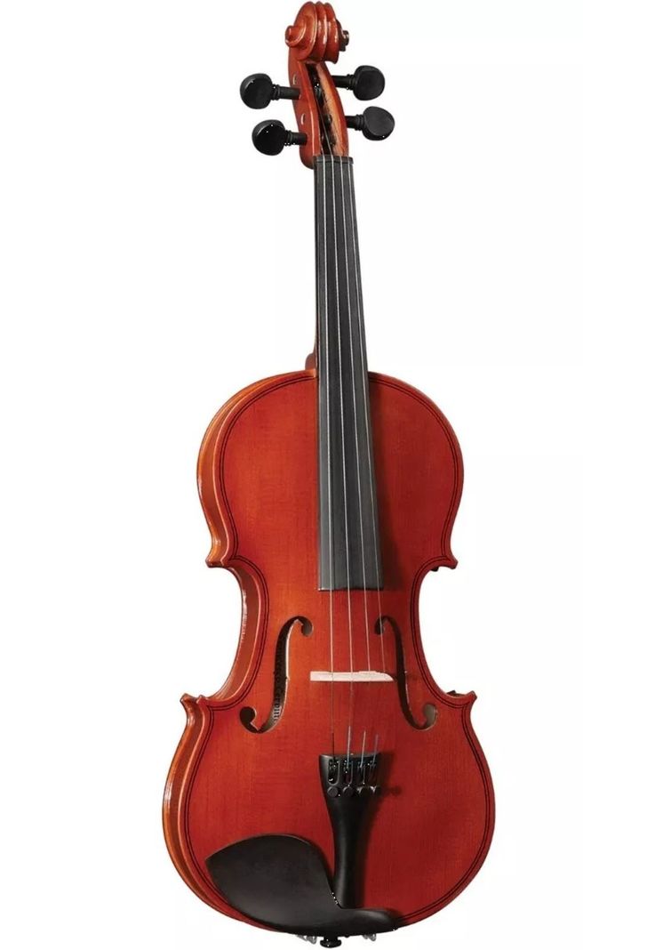 Violin CERVINI HV-100 4/4 con estuche y arco-1