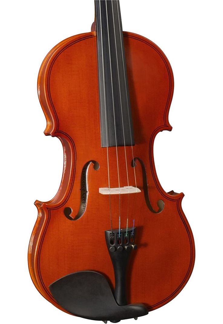 Violin CERVINI HV-100 4/4 con estuche y arco-2