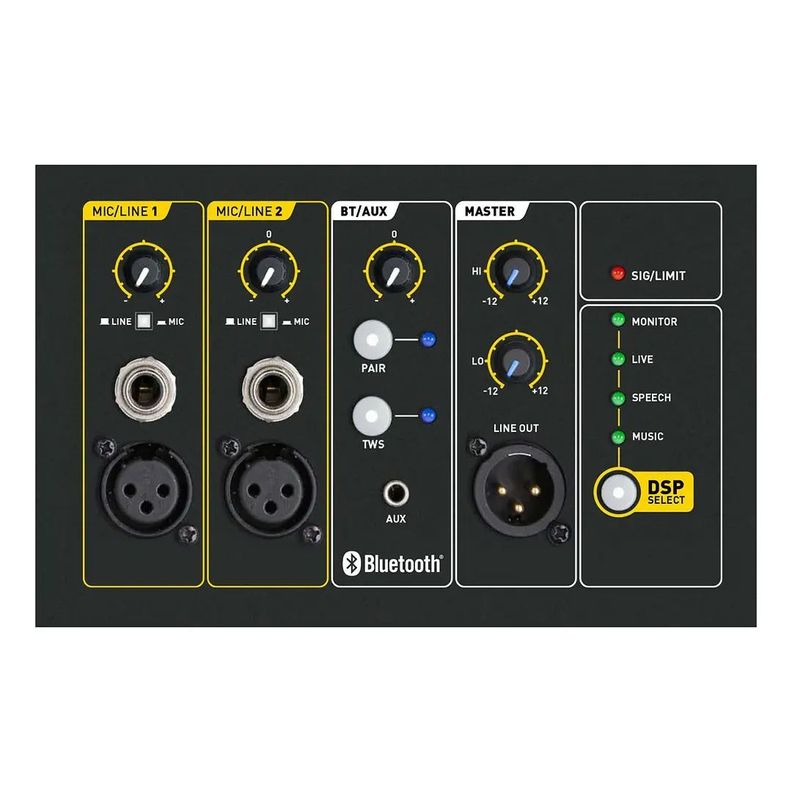 Parlante profesional activo SKP Q10 MK2-2