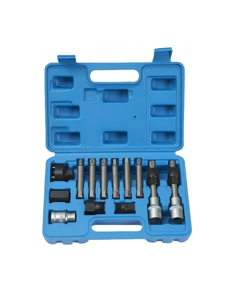 13 Pcs Puntas Dados Extractor Poleas Alternador Alternadores