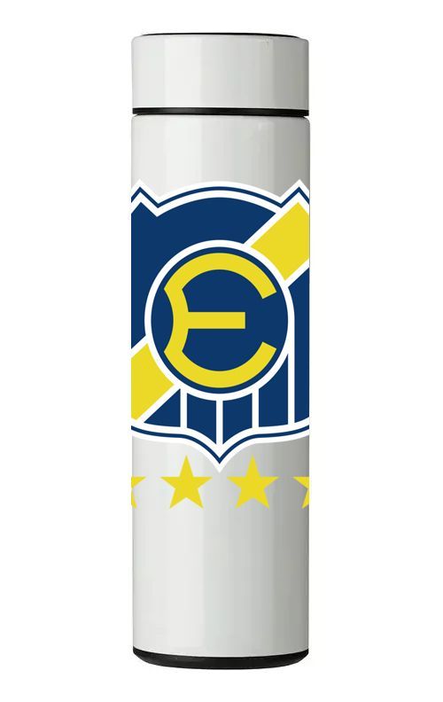 TERMO DIGITAL CON TERMÓMETRO - EVERTON - 450 ML-0