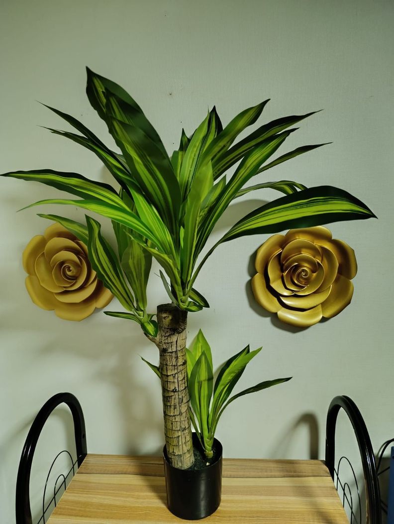 Planta Artificial Palo De Agua, Diseño Realista 80 Cm Altura-1