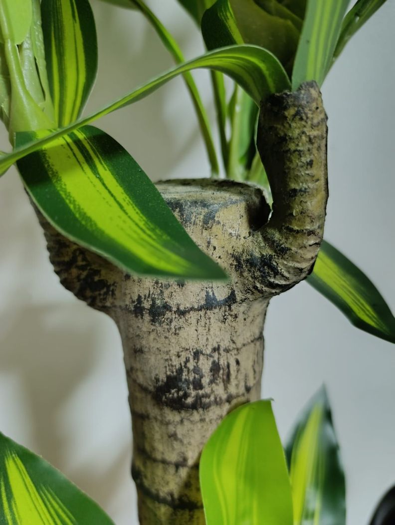 Planta Artificial Palo De Agua, Diseño Realista 80 Cm Altura-2