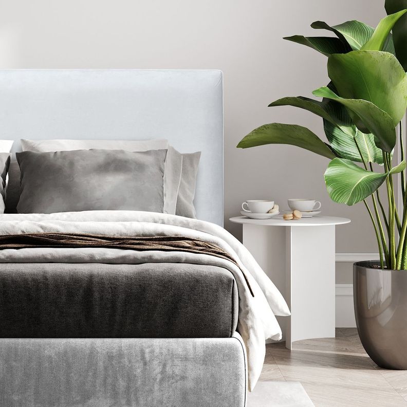 Respaldo de Cama Flat Vivo Felpa Crema - 2 Plazas