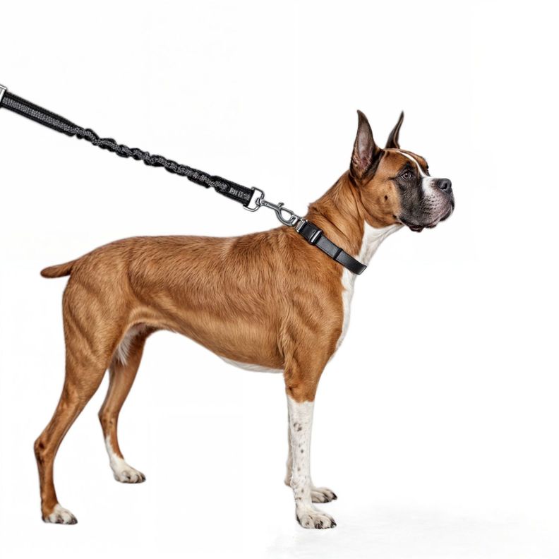 Correa perro correa flexi anti tirones resistente mascotas-7