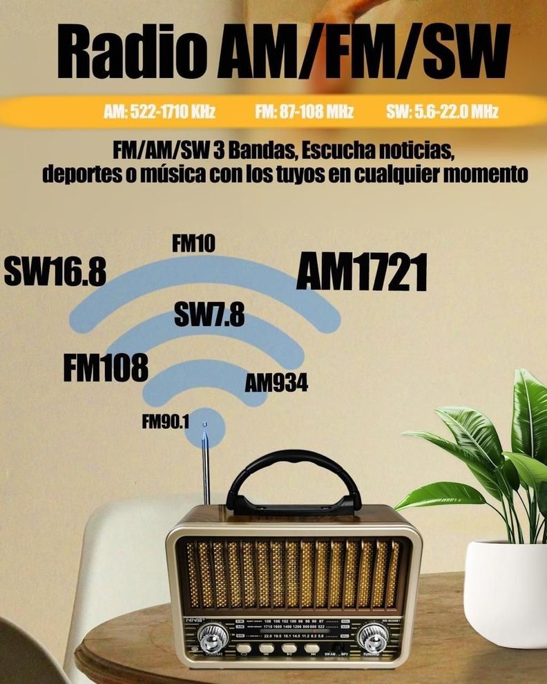 Radio Portátil Bluetooth Recargable Y A Pilas  Am/FM MP3 Vintage-3