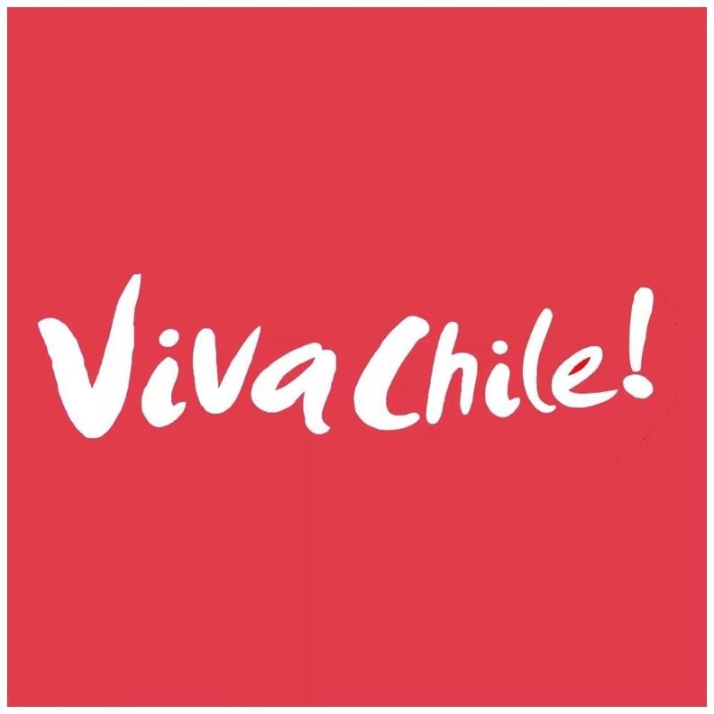 Bandera Chilena Cubre Capot Estándar Con Viva Chile-1