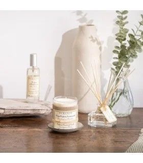 Vela Artesanal Perfumada 180 gr Eucalipto-Menta-1