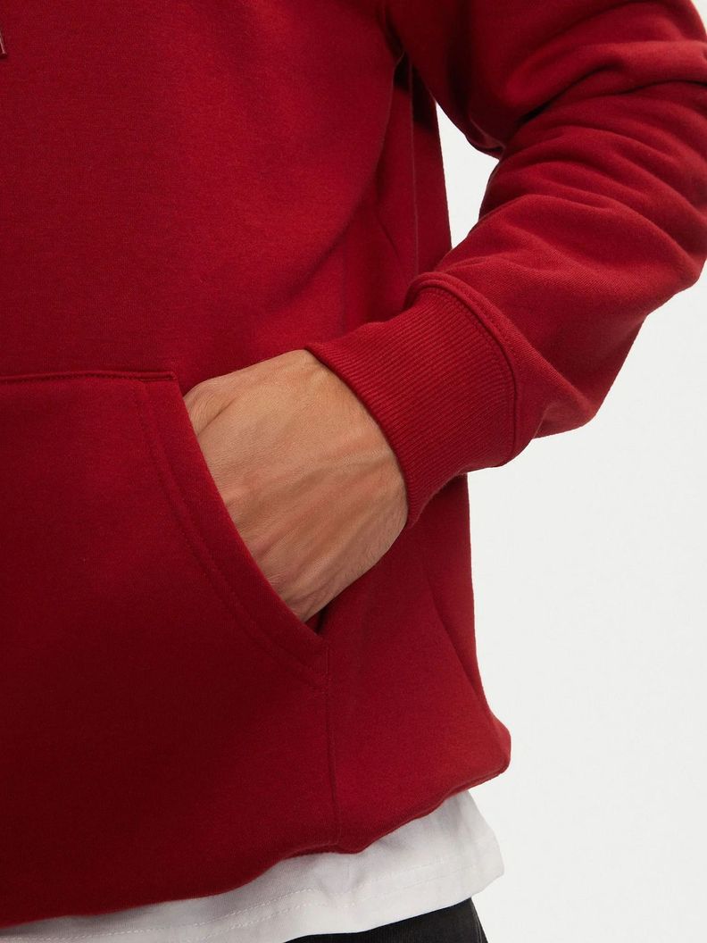 Polerón Hoodie Solid Con Logo Rojo Tommy Jeans-4