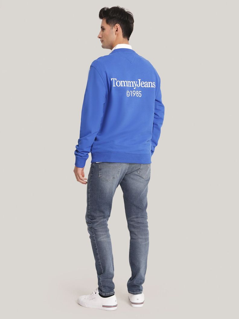 Polerón Regular Grafico Azul Tommy Jeans-2