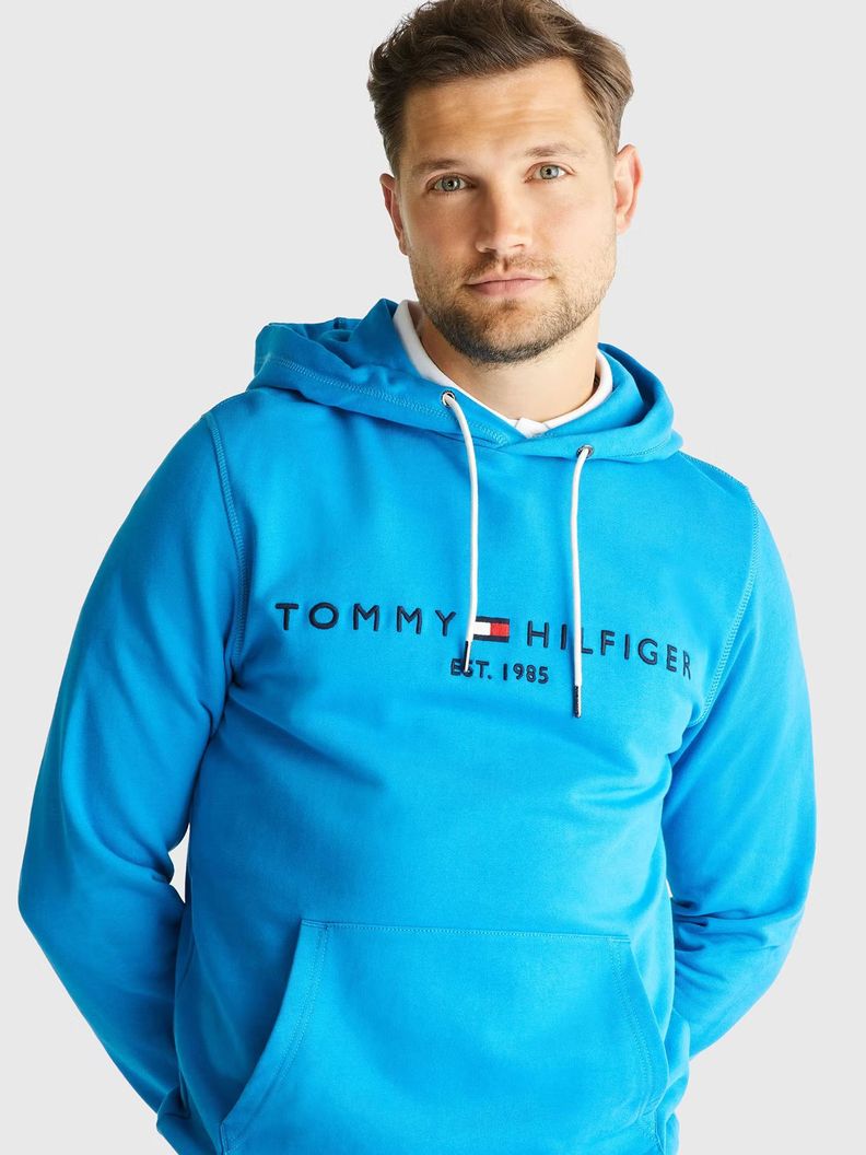 Polerón Hombre Essential Logo Celeste Tommy Hilfiger-3