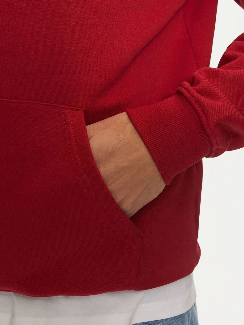 Polerón Hoodie Con Logo Bordado Rojo Tommy Jeans-4