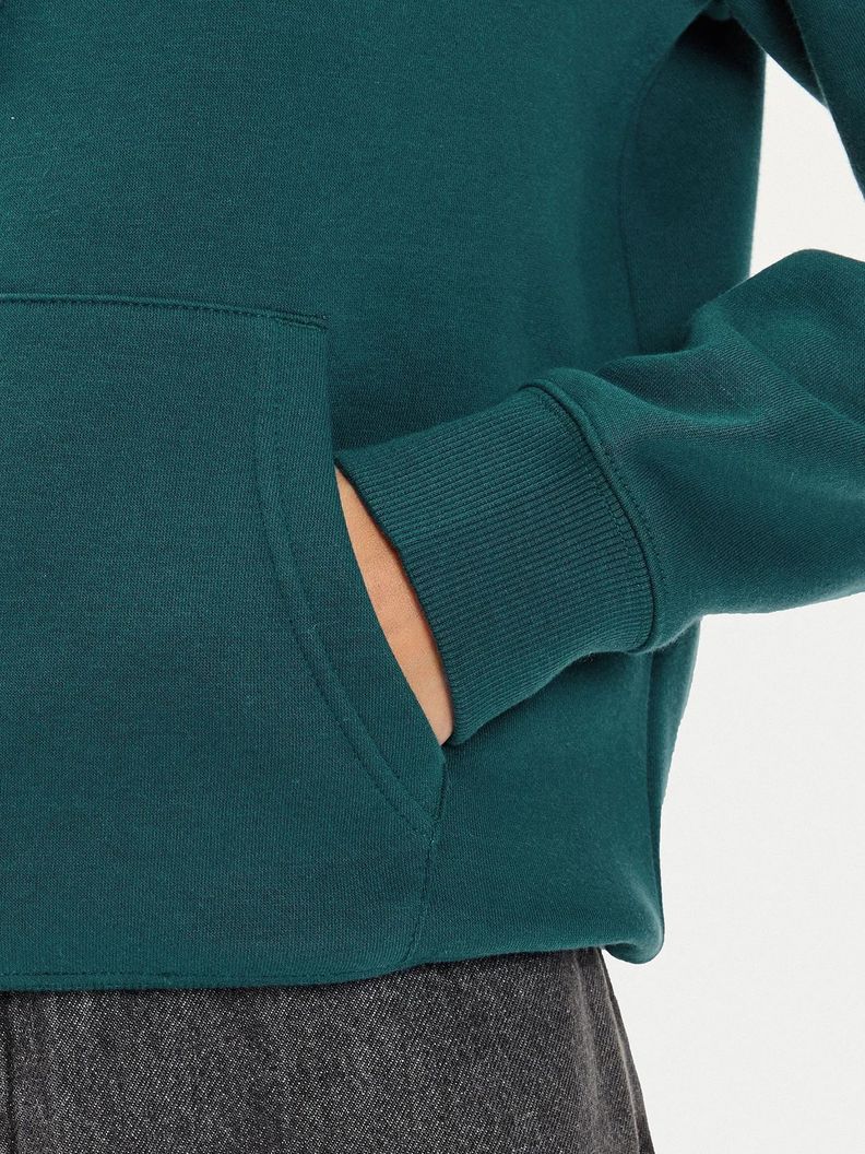 Polerón Hoodie Flag Logo Verde Tommy Hilfiger-4