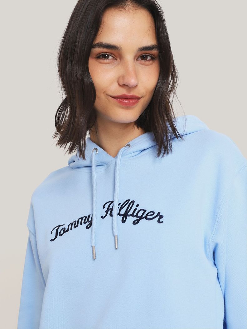 Polerón Hoodie C Logo Bordado Azul Tommy Hilfiger-3