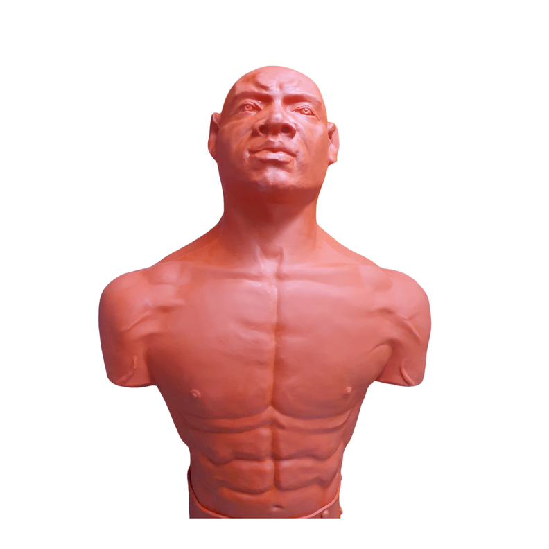 Punching Ball Dummy Pro - Torso Real - Boxeo-4