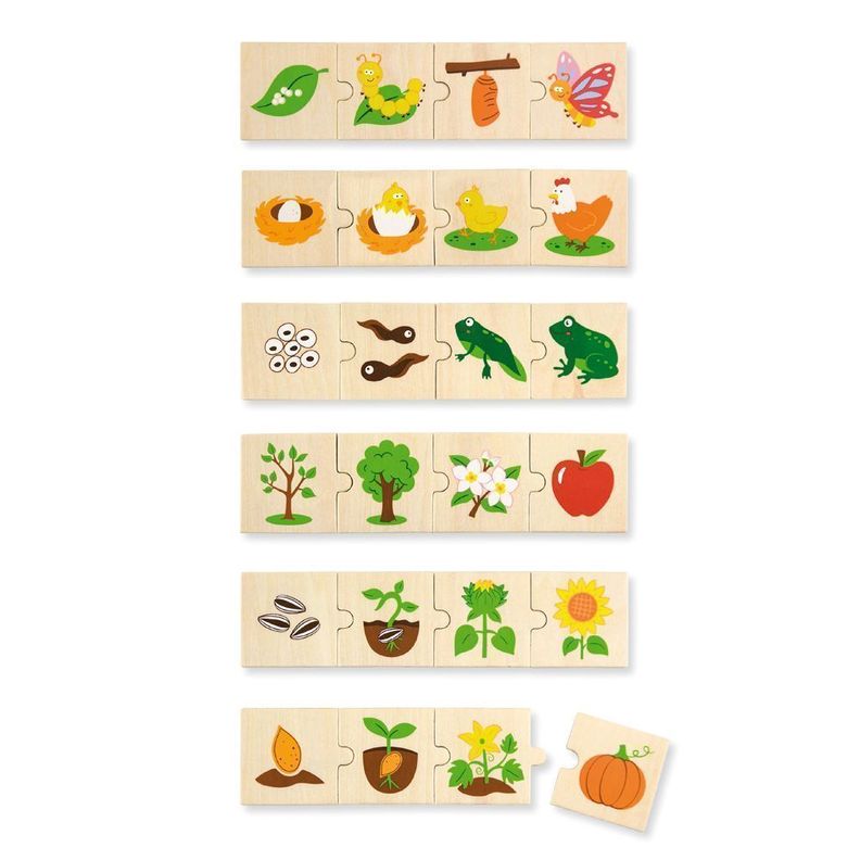 Juguete Madera Puzzle Set 6, 4 Pz Evolutivo-0