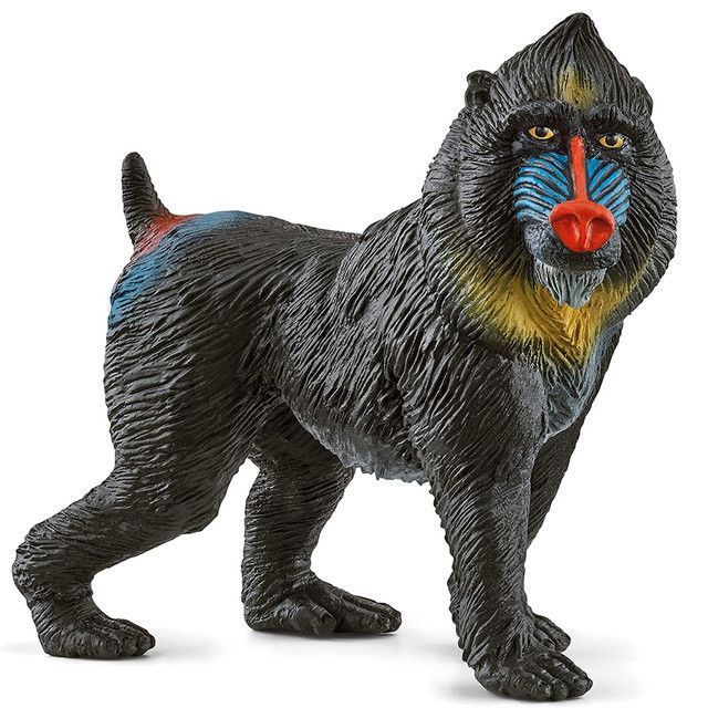 Mandril-0