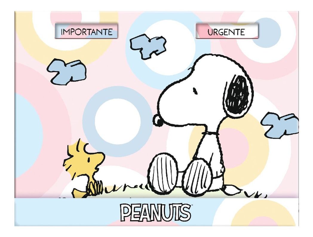 Caja Lujo Nota Adh Importante / Urgente FULLPAS COLOR SNOOPY-2