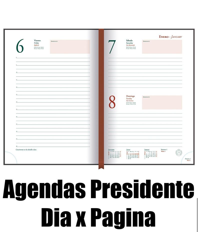 Agenda Ascott Presidente Clasica Dia X Pag Design Año 2024-1