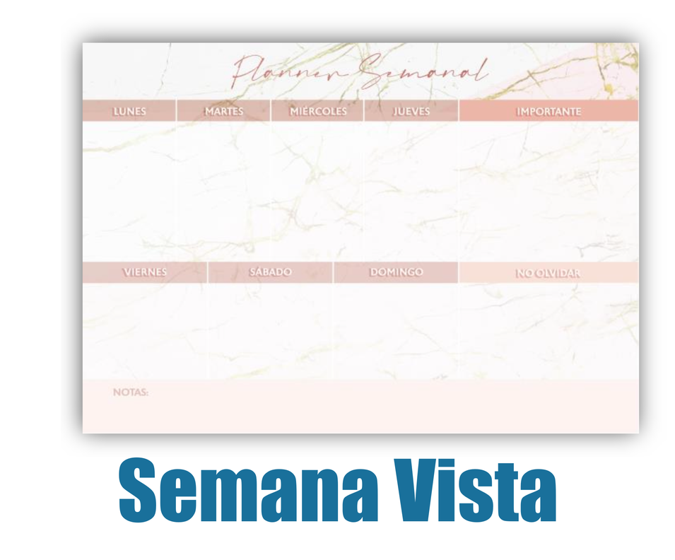 Calendario Agenda Planificador Semanal TD Ascott 80hj Rose-0