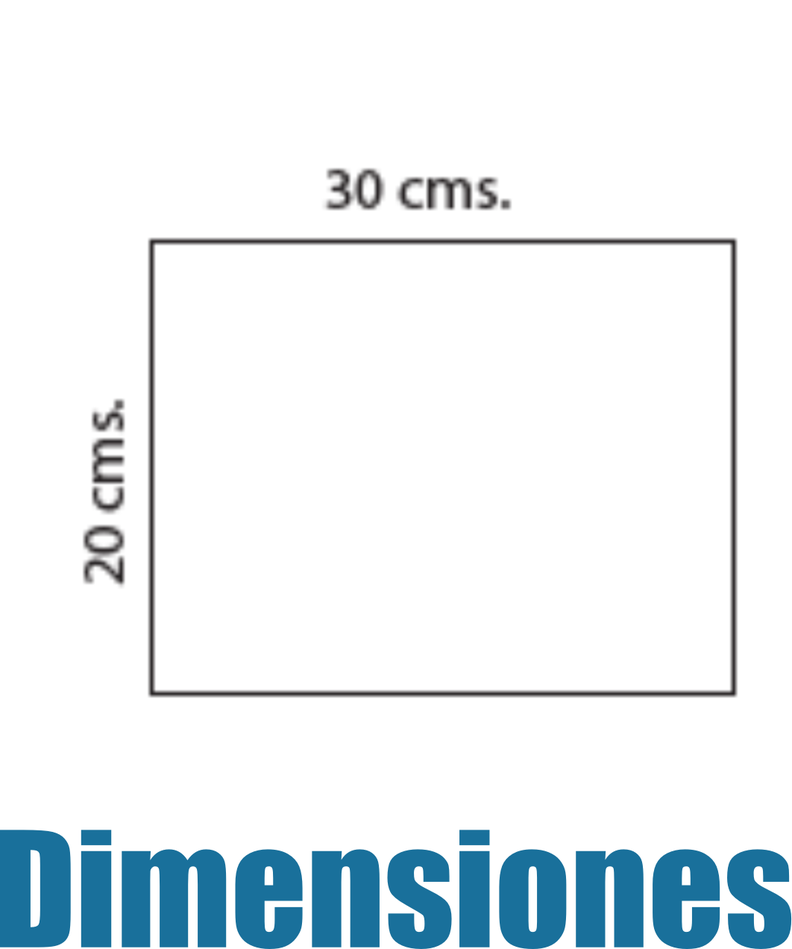 Calendario Agenda Planificador Semanal Ascott 40hj 29,7x21cm.-3