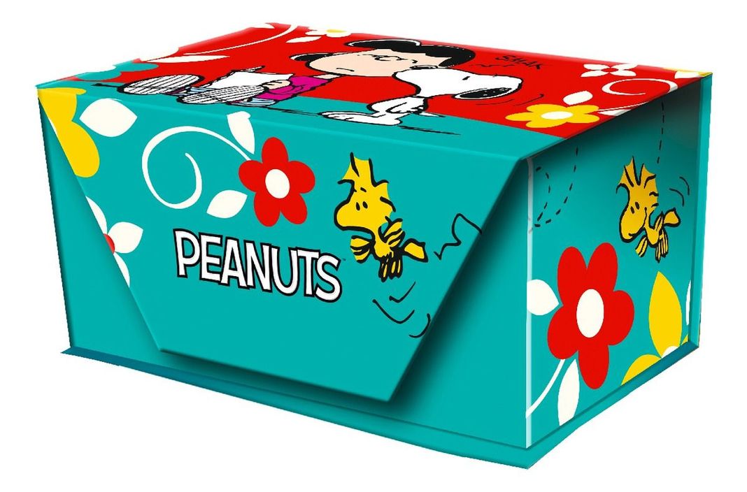 Caja Super Lujo Notas Escritorio SNOOPY FULL COLOR-0