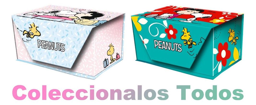 Caja Super Lujo Notas Escritorio SNOOPY FULL COLOR-2