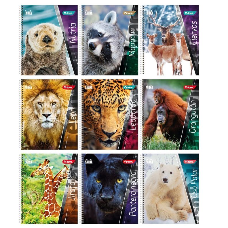 CUADERNO UNIVERSITARIO FAUNA 7MM 100H PACK 10-0