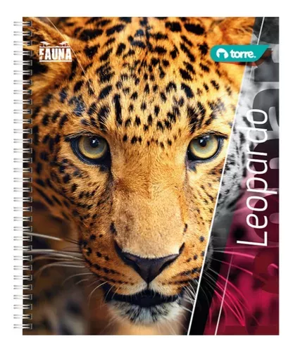 CUADERNO UNIVERSITARIO FAUNA 7MM 100H PACK 10-3