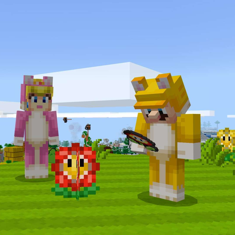 Juego Minecraft Nintendo Switch-2