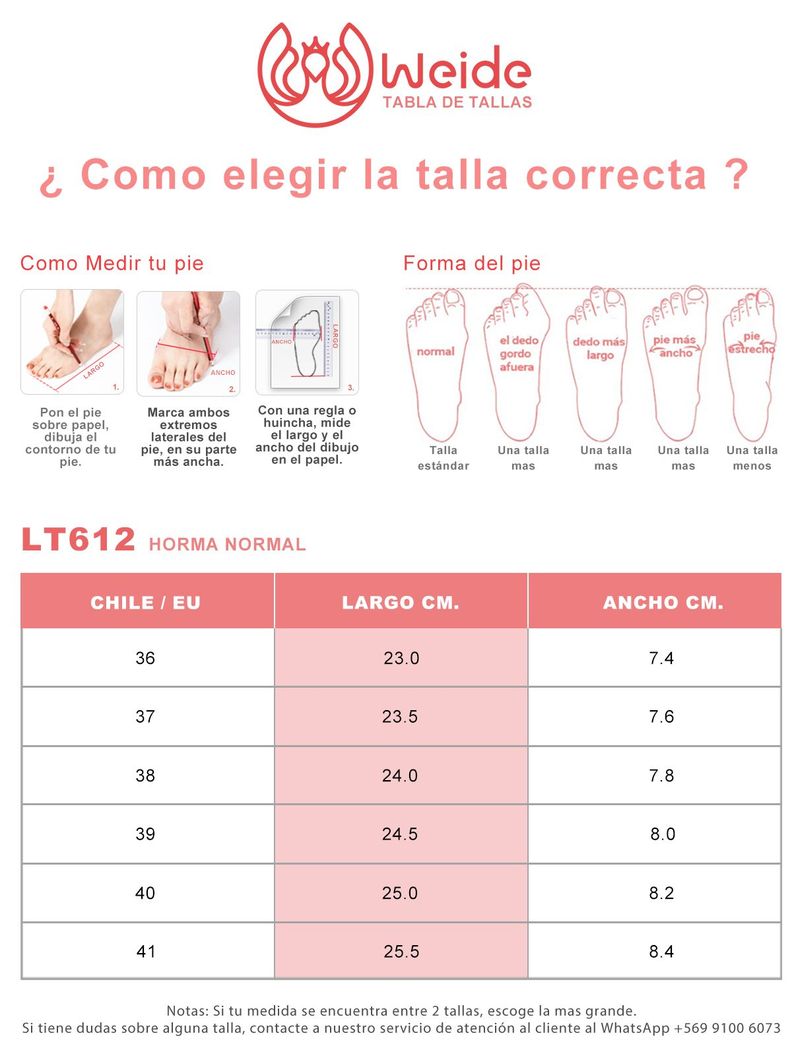 Zapatilla Deportiva Casual Mujer Moda Plataforma Weide LT612-3