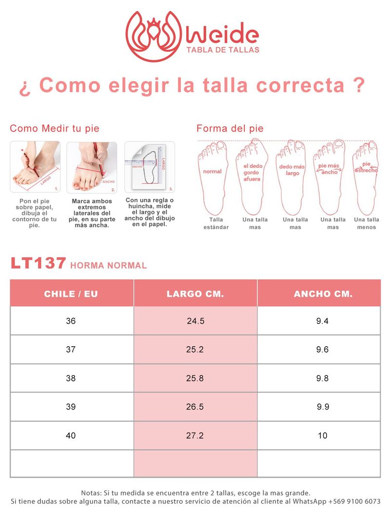 Sandalia  Casual Moda Clasico Mujer con Pedrería Weide LT137-3