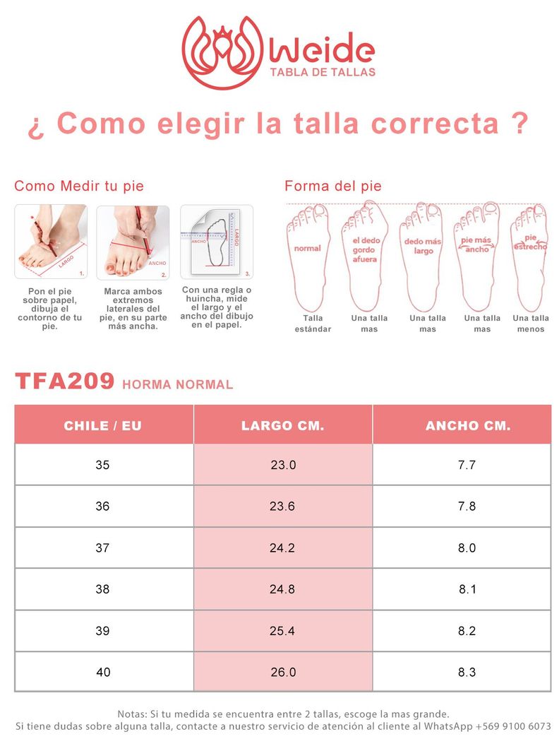 Zapatilla Deportiva Mujer Clásico De Colores Weide TFA209-3