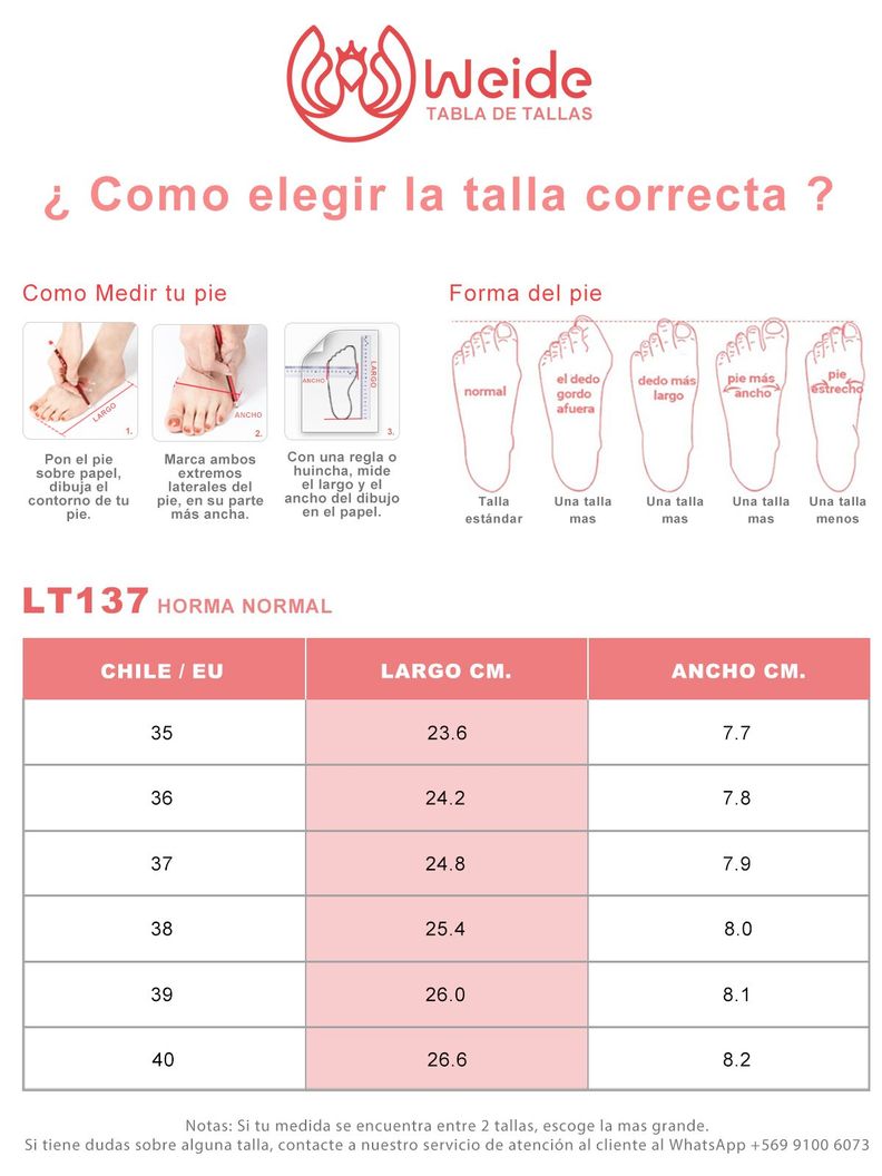 Zapato Taco Mujer Acabado Charol  Formal  Weide GH137-4