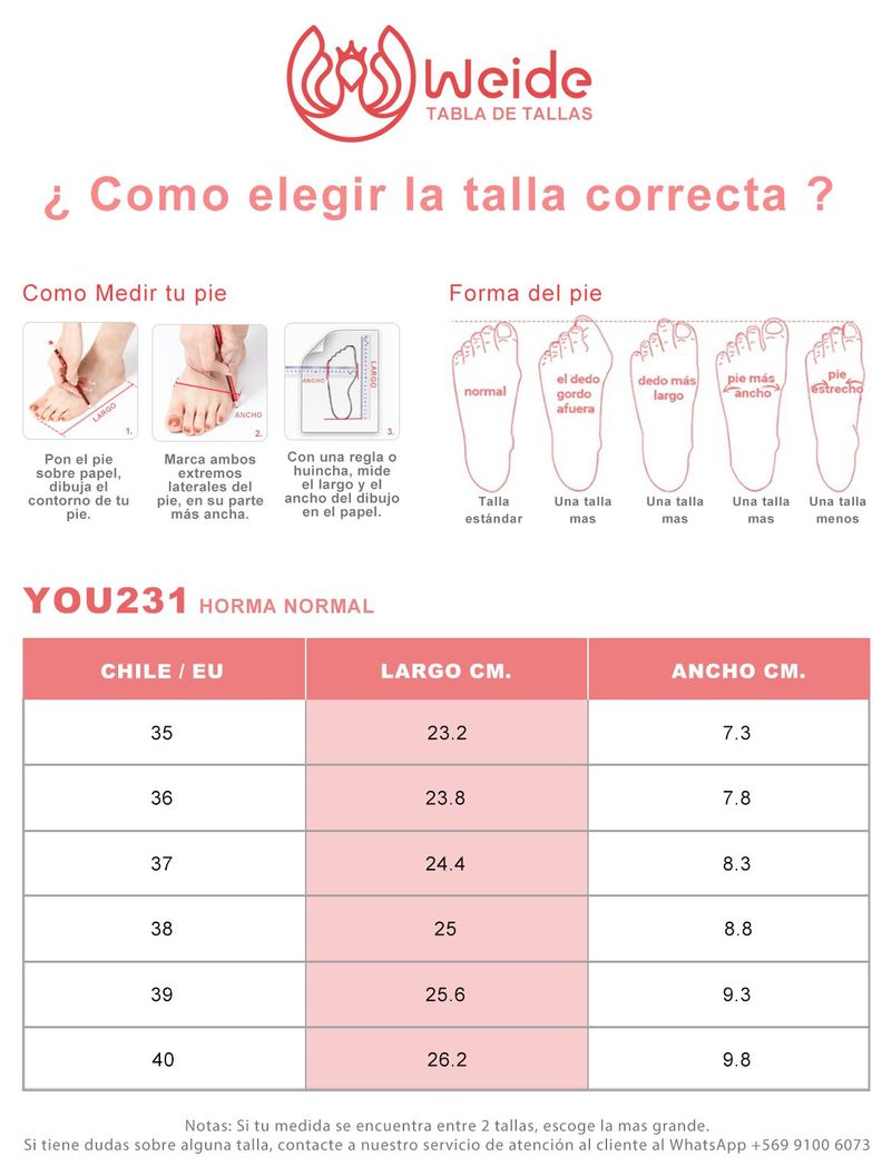 Sandalia Taco Casual Mujer De Moda Plataforma Weide YOU231-3