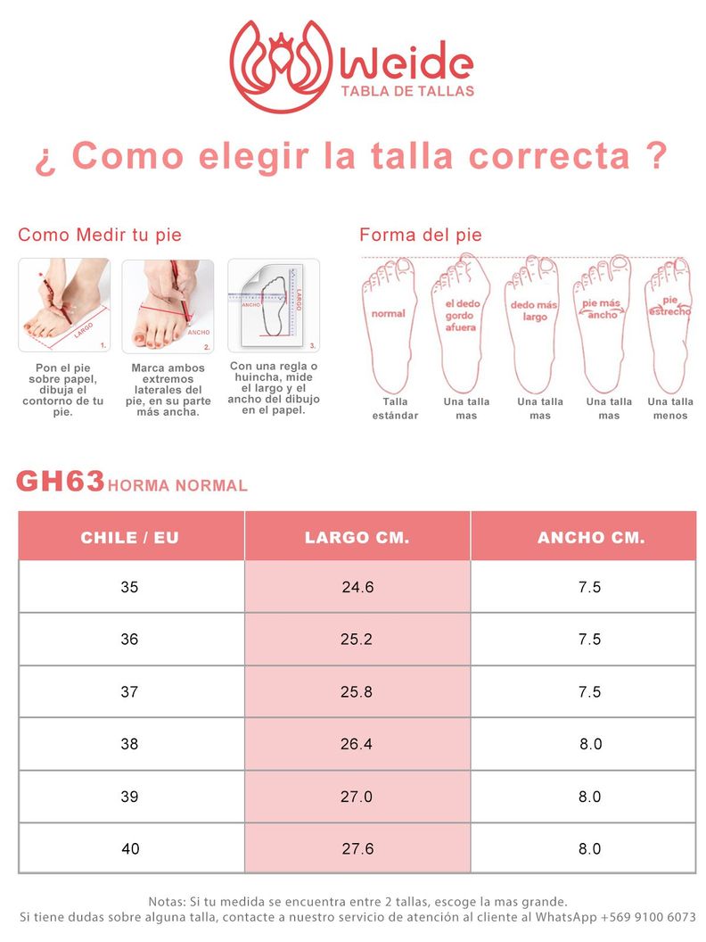 Zapato Taco Alto Negro Fiesta Mujer Weide GH63-3