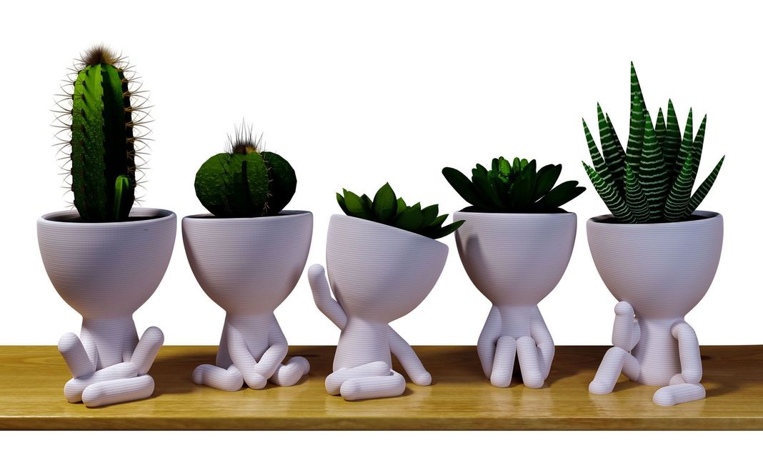 Pack 5 Maceteros Robert Plant Para Cactus O Suculentas-0